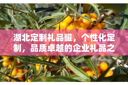湖北定制礼品罐，个性化定制，品质卓越的企业礼品之选