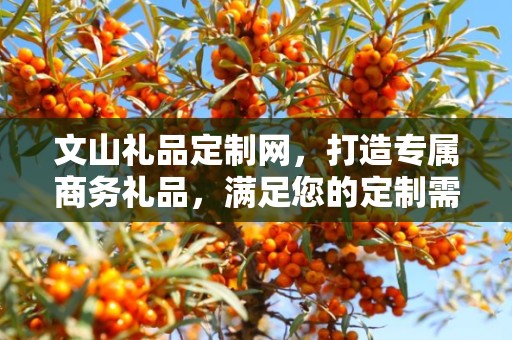 文山礼品定制网，打造专属商务礼品，满足您的定制需求