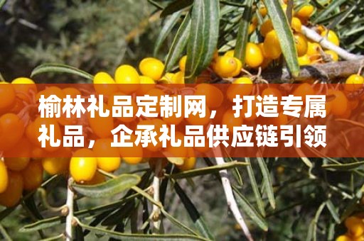榆林礼品定制网，打造专属礼品，企承礼品供应链引领定制潮流